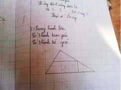 Tranh cãi 'Bài toán lớp 2 bị chấm sai'