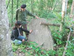 Kỳ bí câu chuyện rừng mộ đá ở đảo Lý Sơn