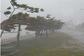 Video: Miền Trung quay cuồng trong bão Nari