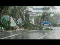 Bản tin đặc biệt cơn bão số 11