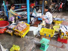 Công nghệ làm chả bằng cá thối ướp hóa chất ở Phú Yên