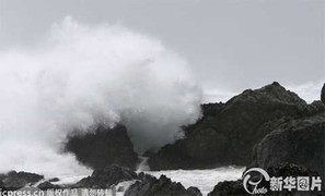 Thế giới 24h: Bão mạnh nhất thập kỷ áp sát Tokyo