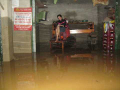 Ảnh: Hà Tĩnh vẫn chìm trong lũ, dân đói khổ thấu trời