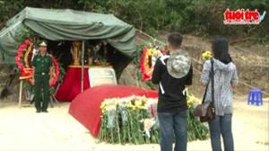 Hoa vẫn tươi sắc trên mộ Đại tướng