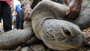 Thế giới 24h: Philippines bắt 13 ngư dân Việt Nam