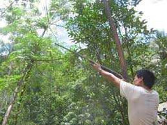 Thực hư lời đồn thổi 2 thợ săn chết vì gặp 'linh thú'