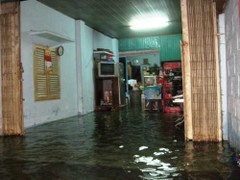 Video: Dân Sài Gòn dầm mình trong triều cường lịch sử