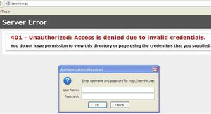 Hacker tấn công, báo điện tử Tầm Nhìn tê liệt