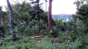 Bắt kẻ sát hại bạn gái chôn xác trong chùa