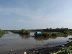 Từ trại giam ông Vươn đề nghị gì vụ thu hồi đầm?