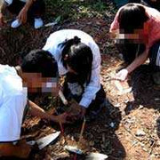 'Ngoại cảm gì mà nhiều như nấm sau mưa!'