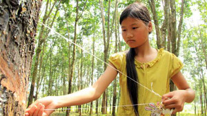 Mẹ mất sớm, nữ sinh lớp 3 là trụ cột gia đình