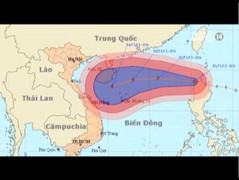 Video: Bão số 12 tiến thẳng vào miền Trung
