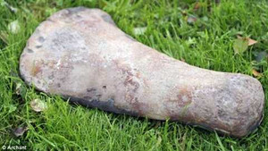 Phát hiện hoá thạch quái vật biển 250 triệu năm tuổi