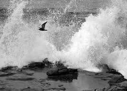 Sắp xuất hiện cơn bão mới trên biển Đông