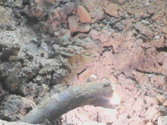 Hố đen phun như núi lửa: 'Thủ phạm' là sợi cáp điện?