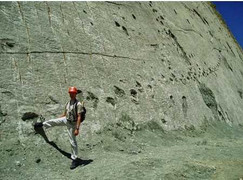 Phát hiện dấu chân khủng long lớn nhất tại Mông Cổ