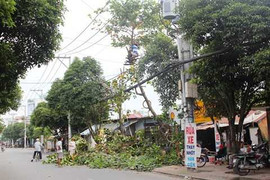 TP.HCM khẩn trương ứng phó trước giờ bão đổ bộ