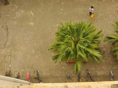 Nữ sinh rơi từ tầng 4 giảng đường Đại học Thương mại