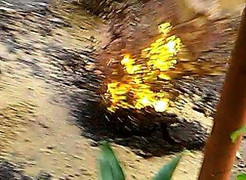 'Hố đen' phun như núi lửa: Lại kết luận... 'do triều cường'