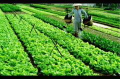 Vay 55 triệu USD hỗ trợ người thu nhập thấp