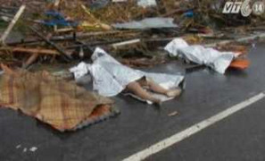 Cập nhật liên tục tin bão hủy diệt Hải Yến