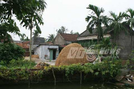 Trước giờ bão đổ bộ, người Hải Phòng vẫn 'bình chân'