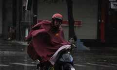 Hà Nội: Mưa to gió lớn, nhiều cây xanh gãy đổ do bão Haiyan