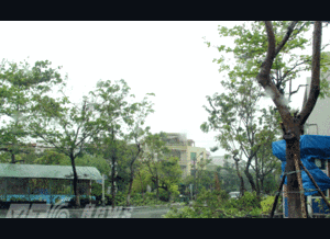 Đà Nẵng 'ngập rác': Bí thư thành ủy 'truy' giám đốc Sở