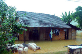 Bình Định: Áp thấp gây mưa lớn, một người bị lũ cuốn