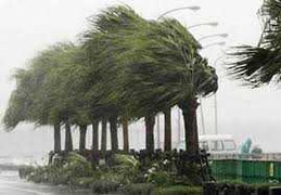 Bão số 15 suy yếu thành áp thấp nhiệt đới