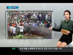 Clip: 'Quái ngư' 10 tấn ở VN lên truyền hình Hàn Quốc