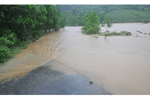 Cán bộ để lũ cuốn phăng 650 triệu tiền ngân sách