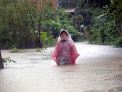 40 người chết, mất tích và nỗi kinh hoàng người ở lại