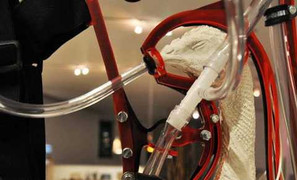 Những chuyện kỳ lạ về thực phẩm bạn ăn hàng ngày