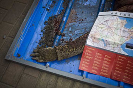 Video: Nổ ống dẫn dầu, gần 200 người thương vong