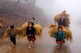 Miền Bắc tiếp tục đón rét đậm