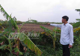 Án oan ở Hải Phòng: Chính quyền xã ‘phủi tay’