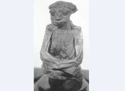 Xác ướp tí hon - bí ẩn không thể giải mã