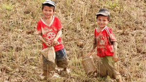 Bắt cua lấy tiền mua sách