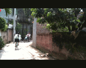 Ráo riết lùng mua đất ‘ao làng'