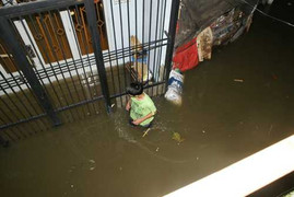 Triều cường TP.HCM chạm mốc lịch sử trong 61 năm