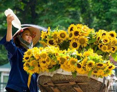 Không khí lạnh suy yếu, miền Bắc ấm dần