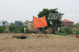 Nghi án giết người cướp của, treo xác trên cây