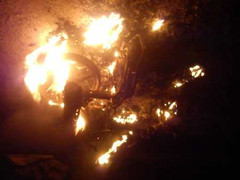 'Cẩu tặc' vung mã tấu chém người truy đuổi