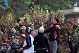 Năm 2014: Những kỳ nghỉ lễ, tết dài bao lâu?