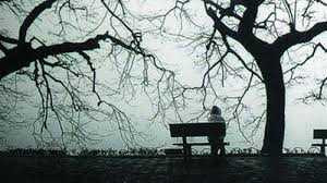 Hà Nội rét 11 độ C