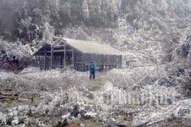 Tuyết ở Sa Pa khác tuyết ở Châu Âu