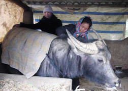 Đêm nay, không khí lạnh tăng cường miền Bắc