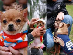 Những nghề 'hốt bạc' nhờ rét đậm